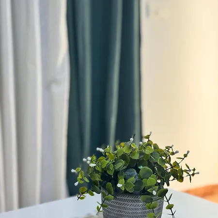 Cozy Wild * 洛斯克里斯蒂亚诺斯