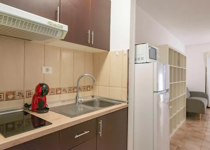 Cozy Wild * Los Cristianos (Tenerife)