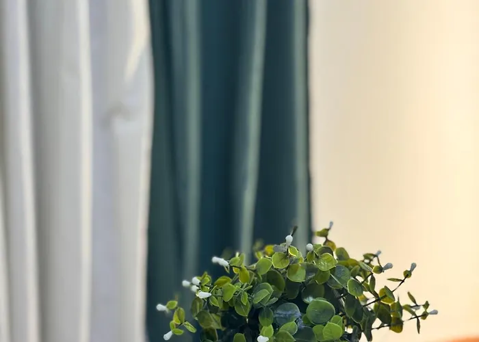 Cozy Wild * Los Cristianos