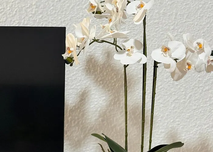 Cozy Wild Apartman Los Cristianos